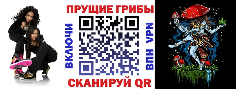 Галлюциногенные грибы Cubensis  Купить закладки  Духовщина 